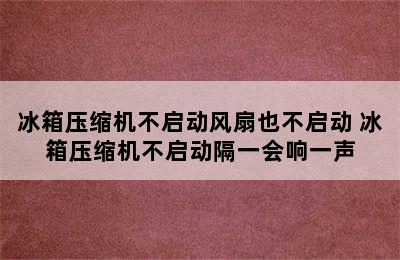 冰箱压缩机不启动风扇也不启动 冰箱压缩机不启动隔一会响一声